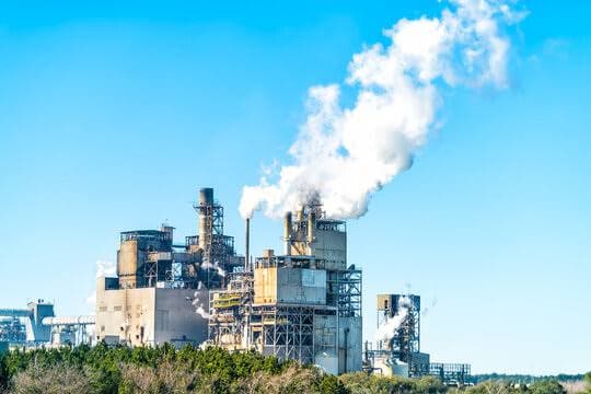 Paper & Pulp Industry