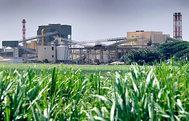 Sugar Industry